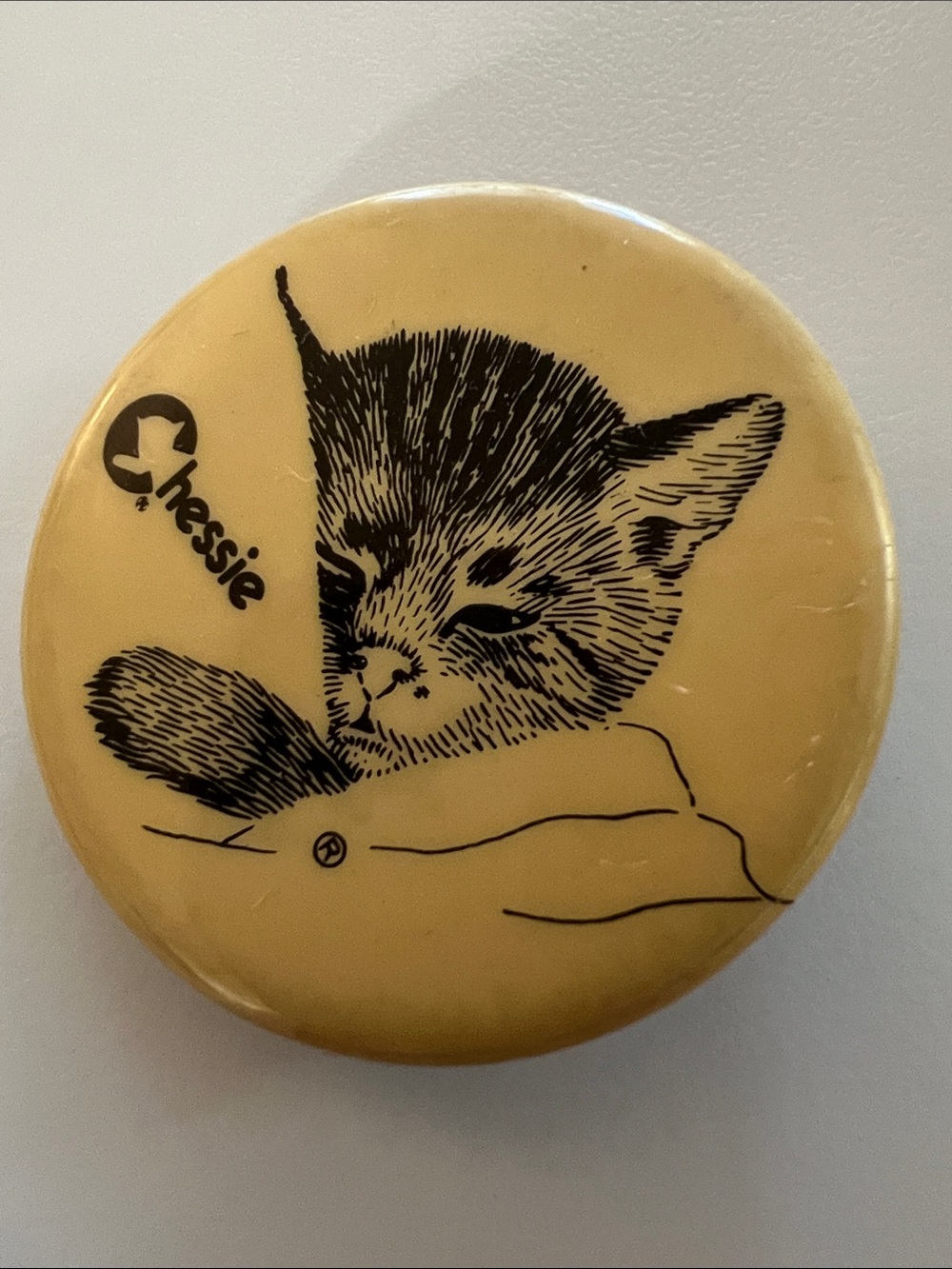 Vintage Pin From Chesapeake and Ohio C&O Railway